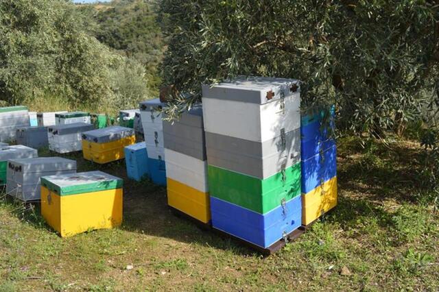 Παράκληση του Δήμου Νάουσας προς τους ιδιοκτήτες Μελισσιών