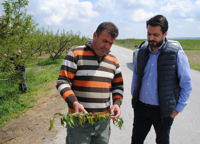 Κοντά στους αγρότες της Μελίκης που 'χτυπήθηκαν' από το χαλάζι ο Τάσος Μπαρτζώκας