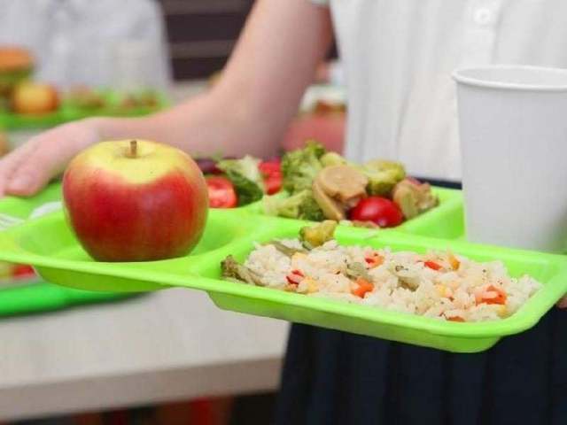 Σε οκτώ δημοτικά σχολεία του Δήμου Νάουσας  θα υλοποιηθεί το πρόγραμμα «Σχολικών Γευμάτων» που υλοποιεί το Υπουργείο Εργασίας & Κοινωνικών Υποθέσεων, σε συνεργασία με το Υπουργείο Παιδείας