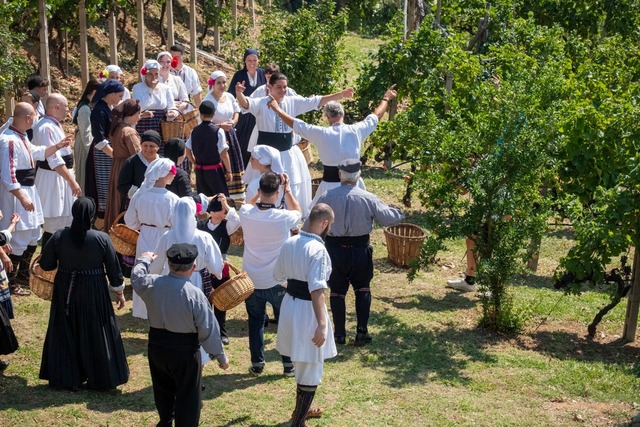  ΛΕΝ: “Αναπαράσταση του Παραδοσιακού Τρύγου” στο πλαίσιο του Διεθνούς Διαγωνισμού Οίνου των Βαλκανίων 