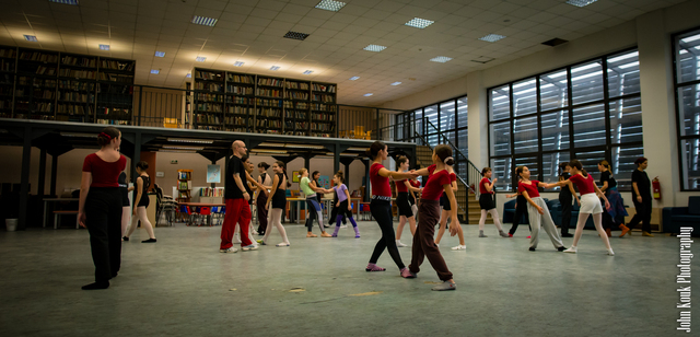 Πραγματοποίηση Σεμιναρίων Χορού R.O.T.A Movement Language στη Νάουσας