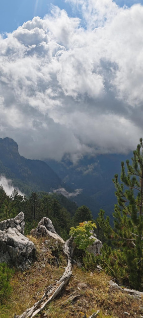 Γιώργος Καισαρίδης: 🗓️21 Μαρτίου. 🌲Παγκόσμια Ημέρα Δασών 🌲