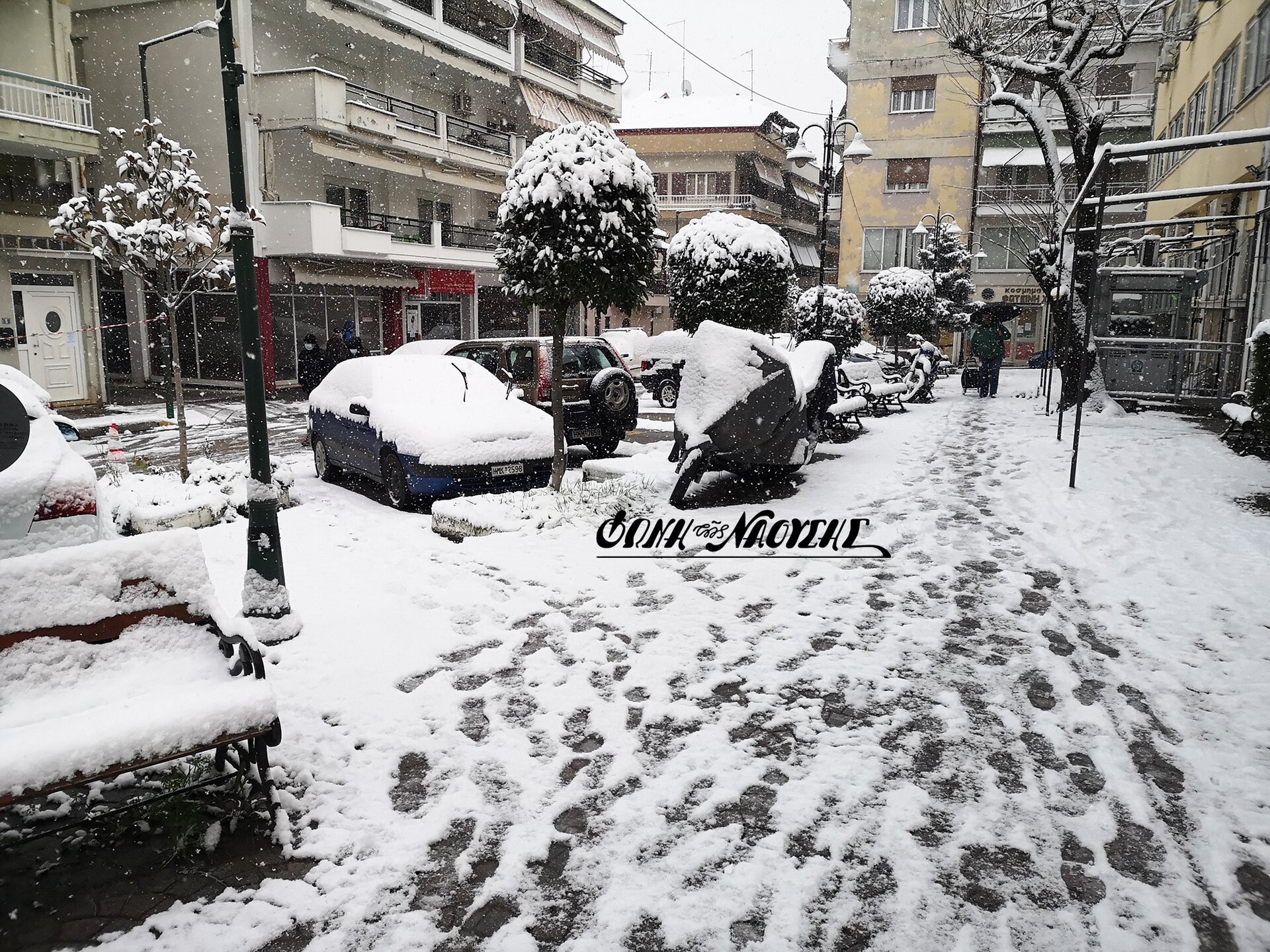 Επέλαση του χιονιά στη Νάουσα που ντύθηκε στα λευκά της - Βίντεο