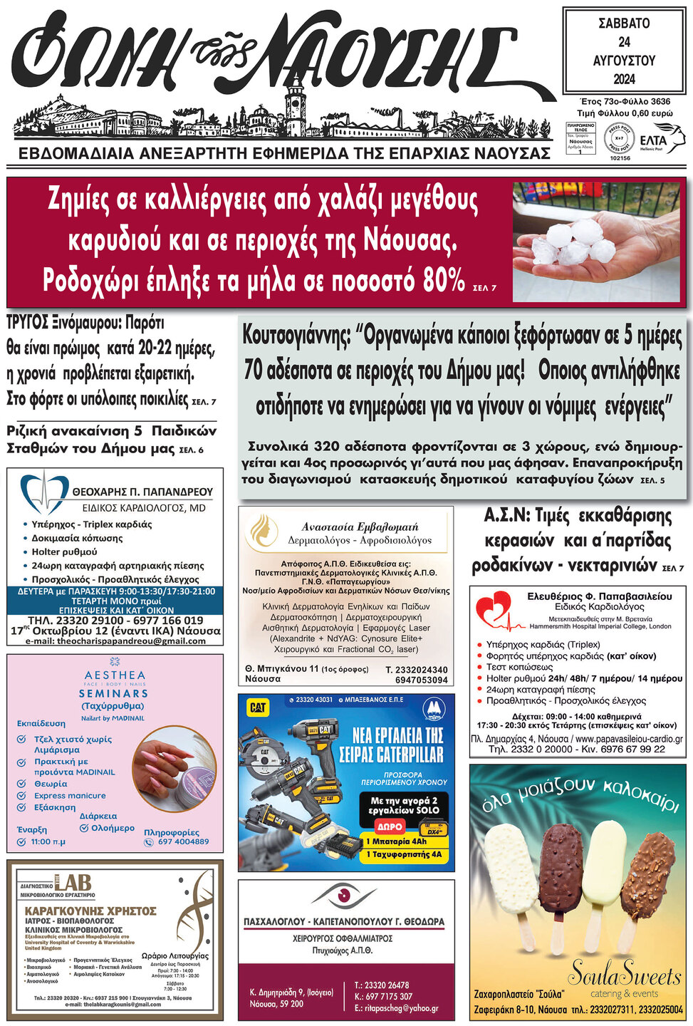 Κουτσογιάννης: “Οργανωμένα κάποιοι ξεφόρτωσαν σε 5 ημέρες 70 αδέσποτα σε περιοχές του Δήμου μας! Οποιος αντιλήφθηκε οτιδήποτε να ενημερώσει για να γίνουν οι νόμιμες ενέργειες”