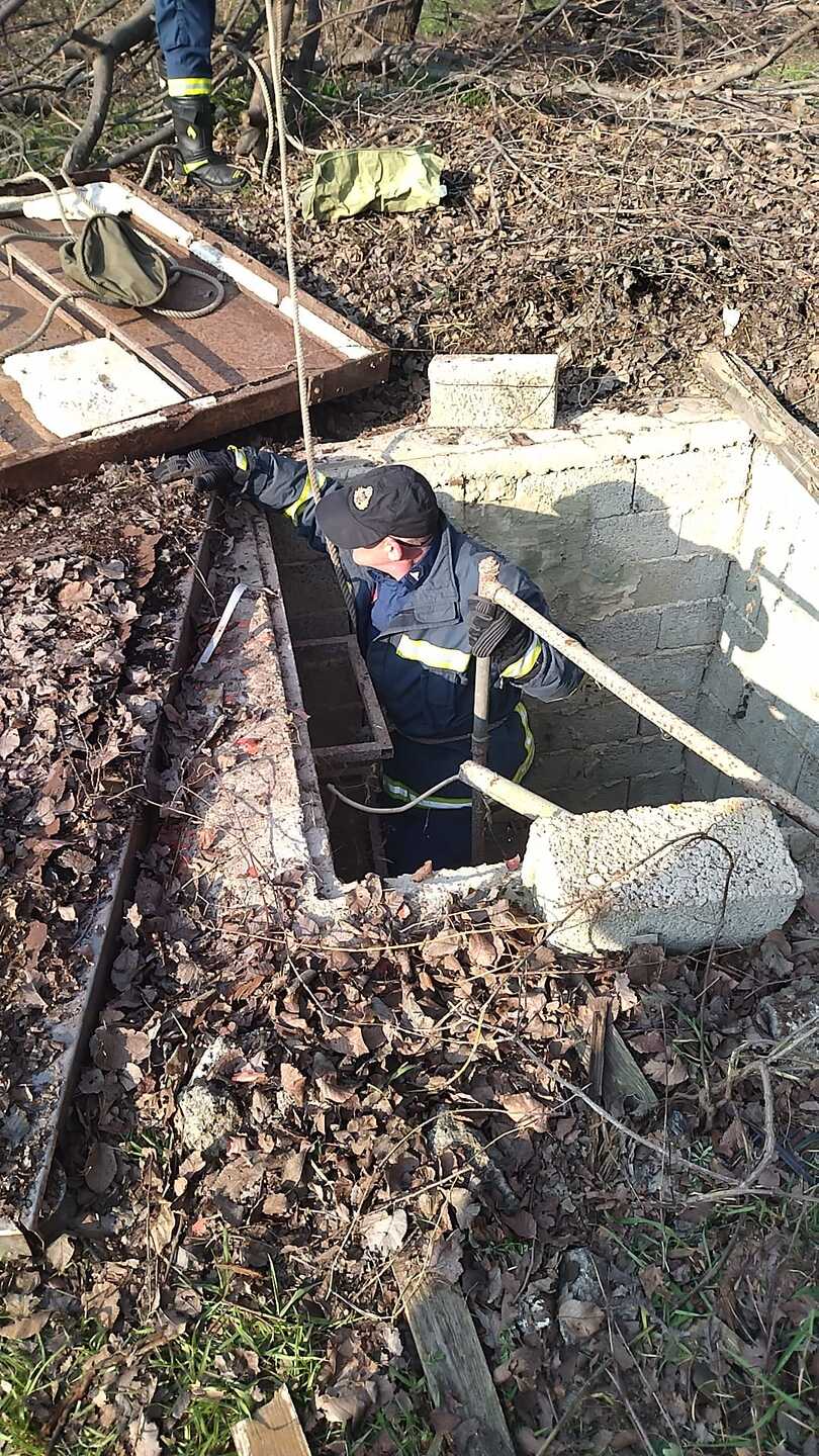 ΔΙΑΣΩΣΗ ΚΟΥΤΑΒΙΩΝ ΚΟΝΤΑ ΣΤΟ Σ.Σ.Ν ΑΠΟ ΤΟΥΣ ΦΙΛΟΥΣ ΖΩΩΝ ΚΑΙ ΤΗΝ Π.Υ.Ν ΒΊΝΤΕΟ