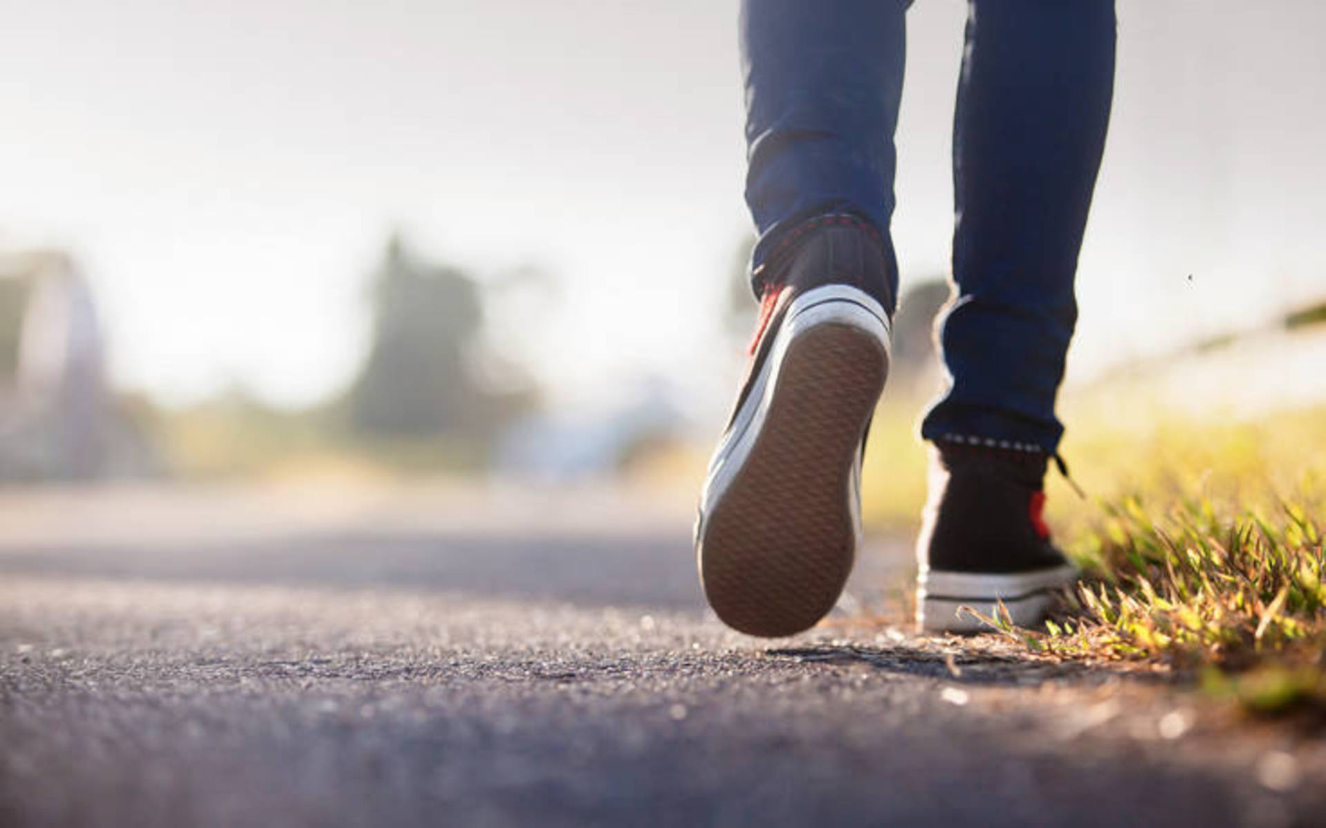 Walking well book. Best walk. Walking well book. Фиона в книге. Walking well book.