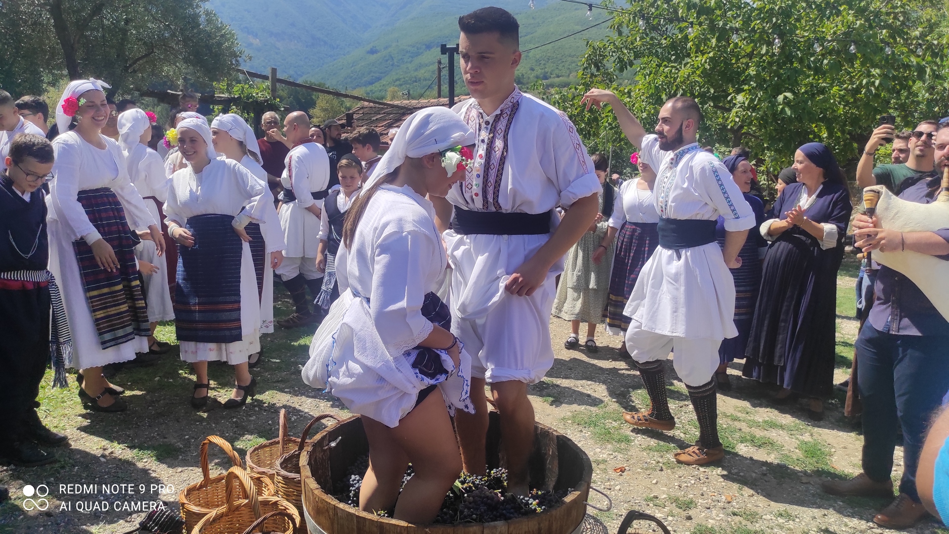 Αναπαράσταση τρύγου από το ΛΕΝ στο γεμάτο από κόσμο οινοποιείο 'Κόκκινου'