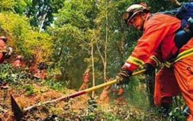 4 Εργάτες Πυρασφάλειας θα προσλάβει ο Δήμος Νάουσας
