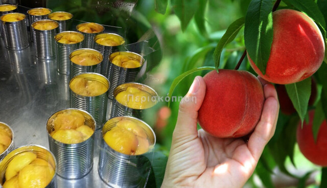 Aγροτικός σύλλογος Σκύδρας:Η 60 λεπτά για τα συμπύρηνα ή θα αφήσουμε τους καρπούς στα δέντρα.