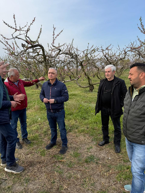 Κοντά στους πληγέντες από τον πρόσφατο παγετό παραγωγούς, ο Υφ. Ανάπτυξης Τσαβδαρίδης  